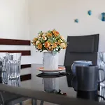 Mi Apartman Privlaka (Zadar)