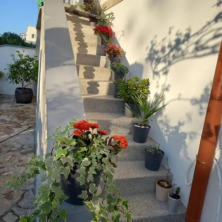 Apartment Mi *